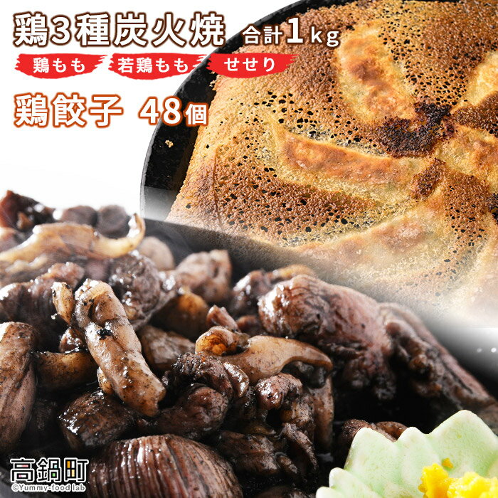 【ふるさと納税】鶏専家一本気＜鶏3種炭火焼き1kg+鶏餃子48個＞ ※入金確認後、翌月末迄に順次出荷しま...