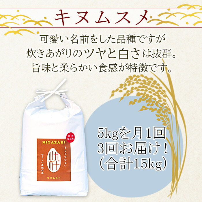 【ふるさと納税】 ＜令和5年度 特別栽培米「粋」キヌムスメ 5kg（3か月定期便）＞ ※翌月下旬に第一回目発送（12月は中旬） きぬむすめ 定期便 15kg お米 精米 単一原料米 宮崎県産 高鍋町 桑原 送料無料【常温】