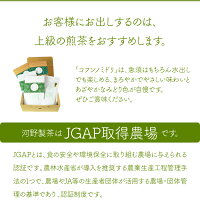 「コフンノミドリ」上級煎茶5袋セット+特上煎茶パウダー10本