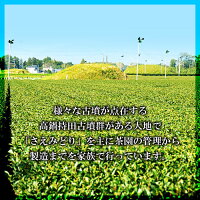 「コフンノミドリ」上級煎茶5袋セット+特上煎茶パウダー10本