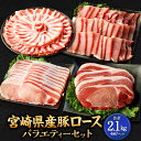 【ふるさと納税】<宮崎県産豚セット>【2025年3月より順次発送】 豚ロース 焼肉 しゃぶしゃぶ とんかつ 生姜焼き用 計2.1kg 豚肉 肉 お肉 詰め合わせ...