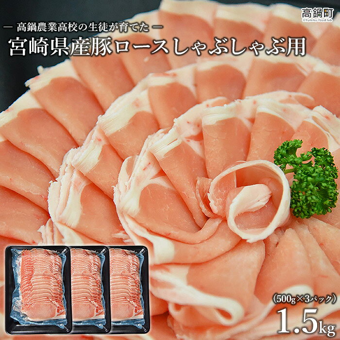 日本最大級 ふるさと納税 高鍋農業高校 生徒が育てた宮崎県産豚ロース 