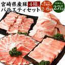 【ふるさと納税】【選べる定期便】<宮崎県産 豚バラエティセット 1回あたり計2.7kg>お申込みの翌月下旬頃に第一回目発送(12月は中旬頃)定期便2回〜6回 計...