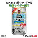 【ふるさと納税】＜焼酎ハイボール 特製サイダー割り350ml