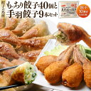 【ふるさと納税】TV番組で餃子日本一獲得!【生活応援!】【宮崎空港で大人気!】 <餃子の馬渡馬渡のもっちり餃子40個と手羽餃子9本セット+もっちり餃子10個(1袋)>1ヶ月以内に順次出荷 餃子の馬渡 お取り寄せ ぎょうざ ギョウザ 餃子 宮崎餃子 宮崎県 高鍋町【冷凍】