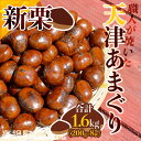 【ふるさと納税】<天津あまぐり1600g> 1.6kg 200g×8袋 ※1か月以内に順次出荷です!栗 おやつ 甘栗 宮崎県 高鍋町 【冷凍】