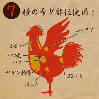 宮崎県産鶏希少部位7種めずらし盛り鶏串60本セット