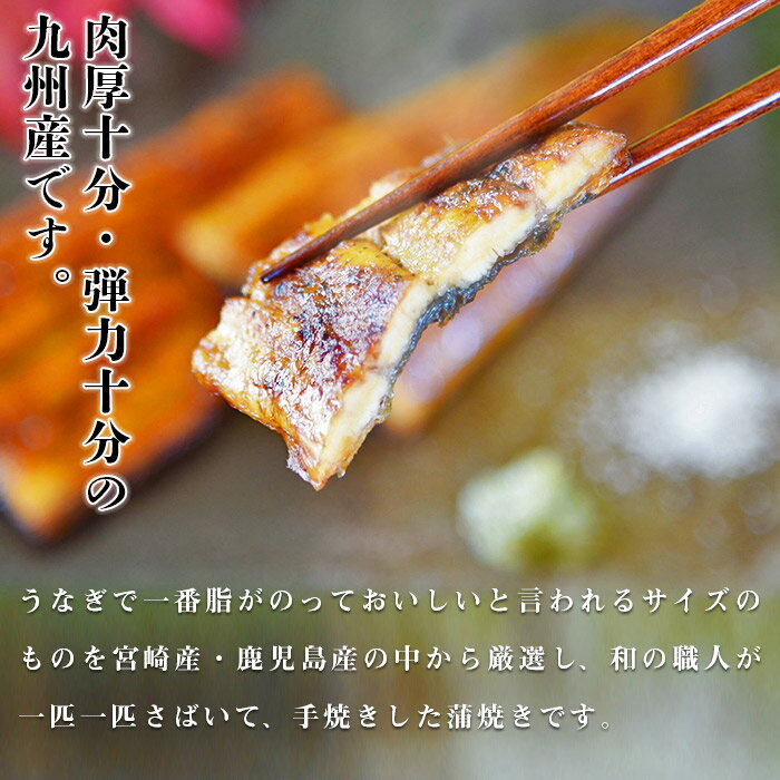 【ふるさと納税】＜職人手焼き九州産 うなぎ 蒲焼き 3尾（6切れ）計390g前後＞ ※入金確認後、翌月末迄に順次出荷します。ウナギ 鰻 宮崎県 高鍋町【冷凍】