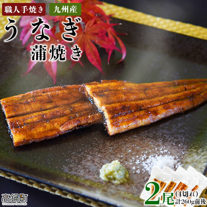 【ふるさと納税】＜職人手焼き九州産うなぎ 蒲焼き2尾（4切れ