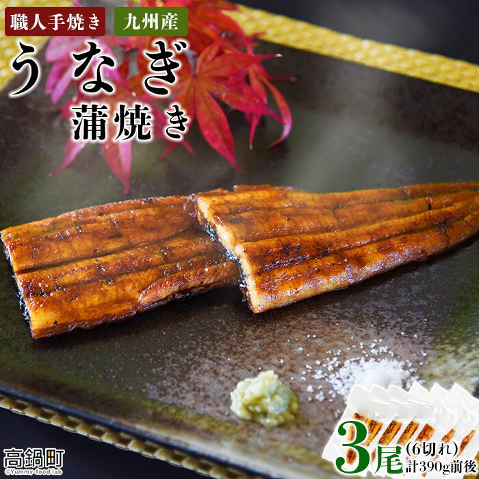 【ふるさと納税】＜職人手焼き九州産 うなぎ 蒲焼き 3尾（6切れ）計390g前後＞ ※入金確認後、翌月末迄...