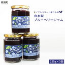 17位! 口コミ数「1件」評価「4」＜ソフトクリーム屋さんの自家製ブルーベリージャム250g×3＞2か月以内に順次出荷 特産品 新山いちご園 宮崎県 高鍋町 送料無料【冷蔵】