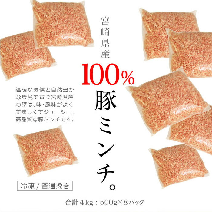 【ふるさと納税】＜宮崎産豚ミンチ4kg＋塩＞※3か月以内に順次出荷します！ 500g×8 豚肉 4,000g ひき肉 挽き肉 挽肉 バラ凍結 ジップ袋 チャック付き袋 パタゴニア湖塩 特産品 宮崎県 高鍋町 【冷凍】