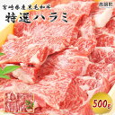 【ふるさと納税】<宮崎県産黒毛和牛特選ハラミ500g> ※入...