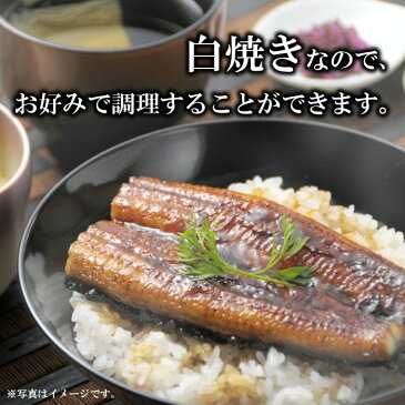 【ふるさと納税】<杉田鮮魚店特選 うなぎ白焼き> 150g前後×2尾(合計300g前後)※1か月以内に順次出荷します。ウナギ 鰻 山椒 杉田鮮魚店 宮崎県 高鍋町【冷凍】