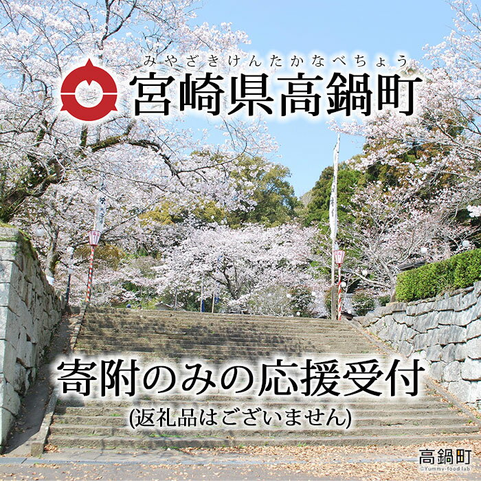 [寄附のみの応援受付 (返礼品はございません)] 宮崎県 高鍋町 支援 応援 返礼品なし 寄付