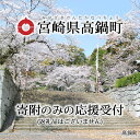 1位! 口コミ数「6件」評価「4.5」＜寄附のみの応援受付 (返礼品はございません)＞ 宮崎県 高鍋町 支援 応援 返礼品なし 寄付