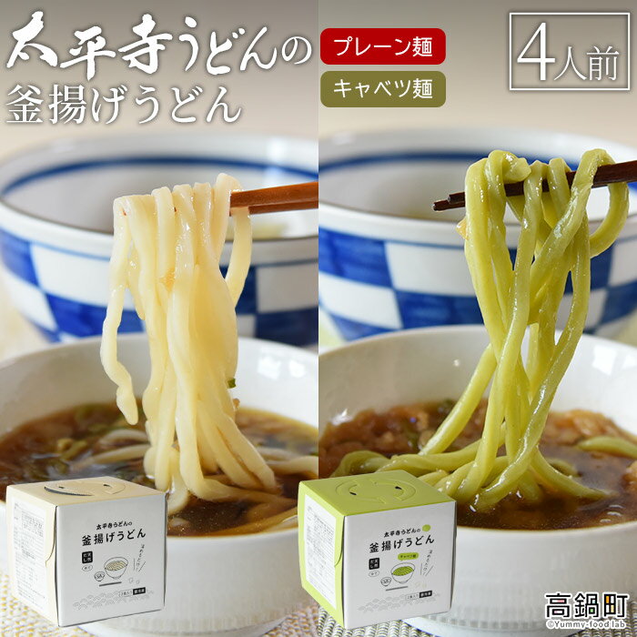 [太平寺うどんの釜揚げうどん プレーン麺(2人前)×キャベツ麺(2人前)セット]※入金確認後、翌月末迄に順次出荷します。 麺類 ゆず胡椒 天然だし 無添加 野菜 ベジタブル 保存食 備蓄 お土産 宮崎県 高鍋町[冷凍]