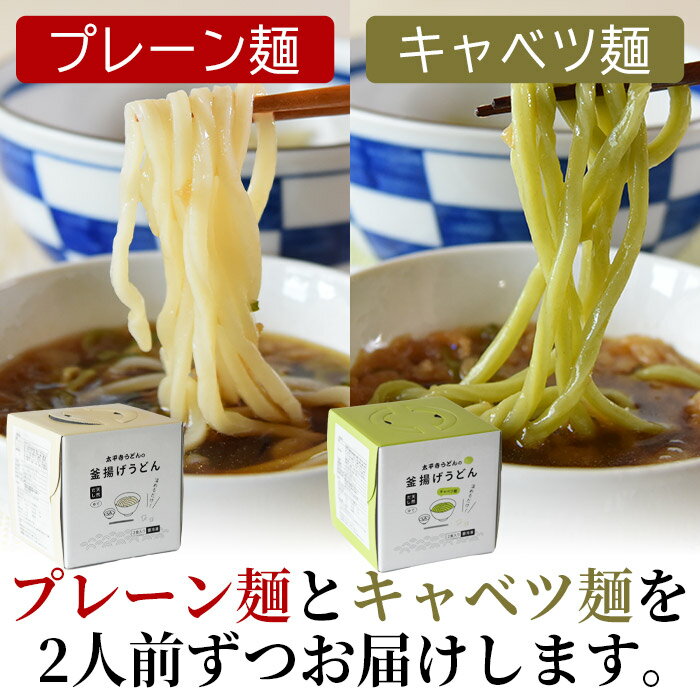 【ふるさと納税】＜太平寺うどんの釜揚げうどん プレーン麺（2人前）×キャベツ麺（2人前）セット＞※入金確認後、翌月末迄に順次出荷します。 麺類 ゆず胡椒 天然だし 無添加 野菜 ベジタブル 保存食 備蓄 お土産 宮崎県 高鍋町【冷凍】