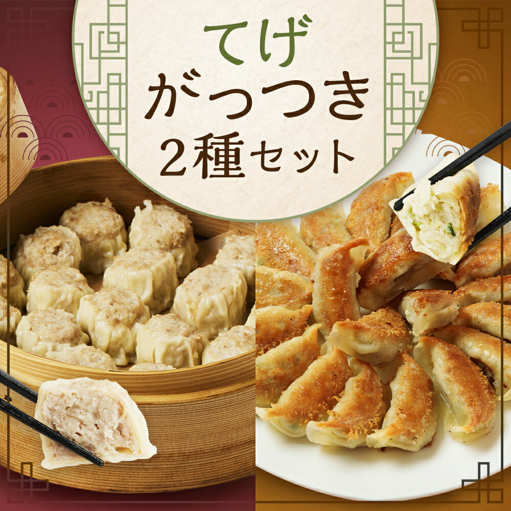 【ふるさと納税】【テレビで紹介された!】＜たかなべギョーザのてげがっつきセット＞翌月末迄に順次出荷 2種 冷凍餃子 焼売 餃子 ぎょうざ ギョーザ しゅうまい シュウマイ 豚肉 おつまみ おかず 惣菜 簡単調理 中華 国産 宮崎県 高鍋町 送料無料【TVで話題沸騰！】 2