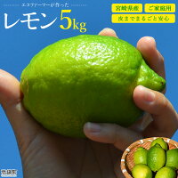 エコファーマーが作ったレモン5kg(ご家庭用)