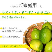 エコファーマーが作ったレモン5kg(ご家庭用)