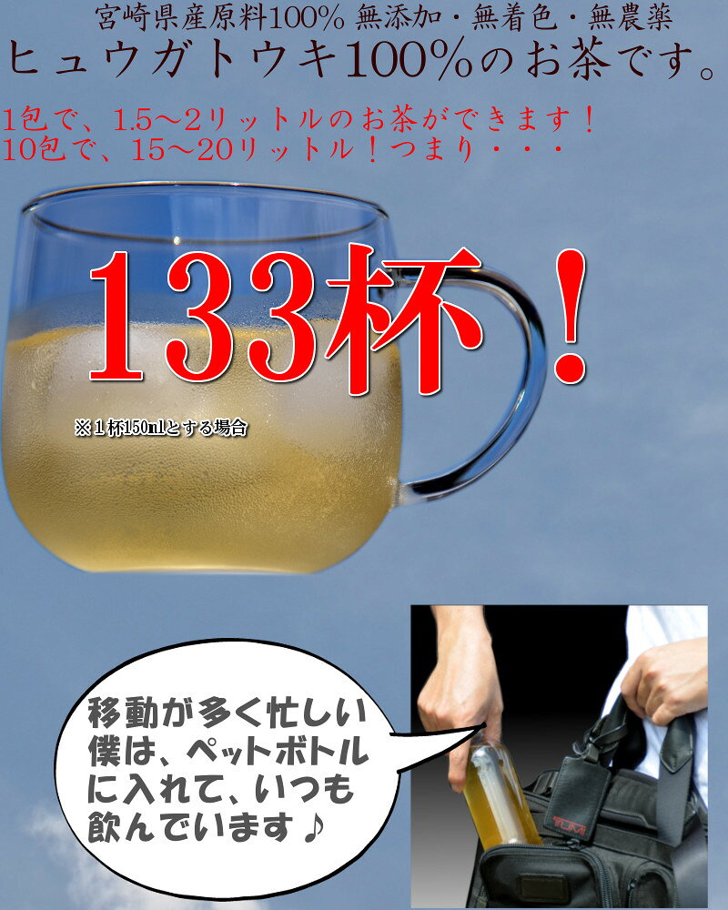 【ふるさと納税】今だけ増量！＜日本山人参茶2.0g×10包×5袋セット＞ ※3か月以内の出荷となります。贈り物にも！宮崎県産原料100％！ 特産品 海と太陽 ヤミー・フードラボ 宮崎県 高鍋町【常温】が大人気返礼品になっている理由とは　ふるさと納税　人気　返礼品　ランキング