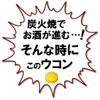 宮崎名物鶏の炭火焼100g×20袋セット+宮崎県産ウコン粒2袋付