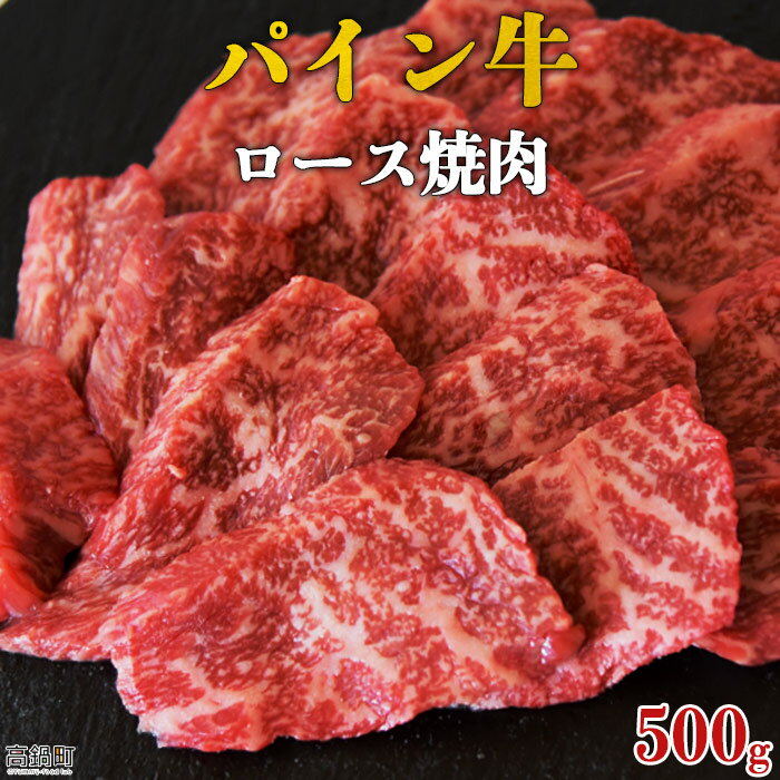 【ふるさと納税】＜パイン牛ロース焼肉　500g＞※入金確認後