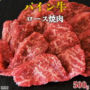 ＜パイン牛ロース焼肉　500g＞※入金確認後、翌月末迄に順次出荷します。 宮崎県産黒毛和牛 牛肉 ブランド牛 株式会社ユウエス 宮崎県 特産品 高鍋町 