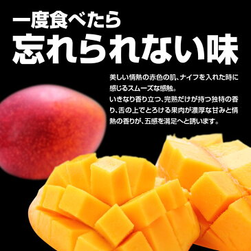 【ふるさと納税】みやざき完熟マンゴー 中玉2Lサイズ 4個(約1.6キロ) ※平成31年5月上旬から順次出荷予定 マンゴー 完熟マンゴー 2L 1.6kg 果物 フルーツ 宮崎 化粧箱 ギフト 贈り物 送料無料 【予約受付】