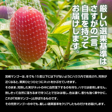 【ふるさと納税】みやざき完熟マンゴー 中玉2Lサイズ 4個(約1.6キロ) ※平成31年5月上旬から順次出荷予定 マンゴー 完熟マンゴー 2L 1.6kg 果物 フルーツ 宮崎 化粧箱 ギフト 贈り物 送料無料 【予約受付】