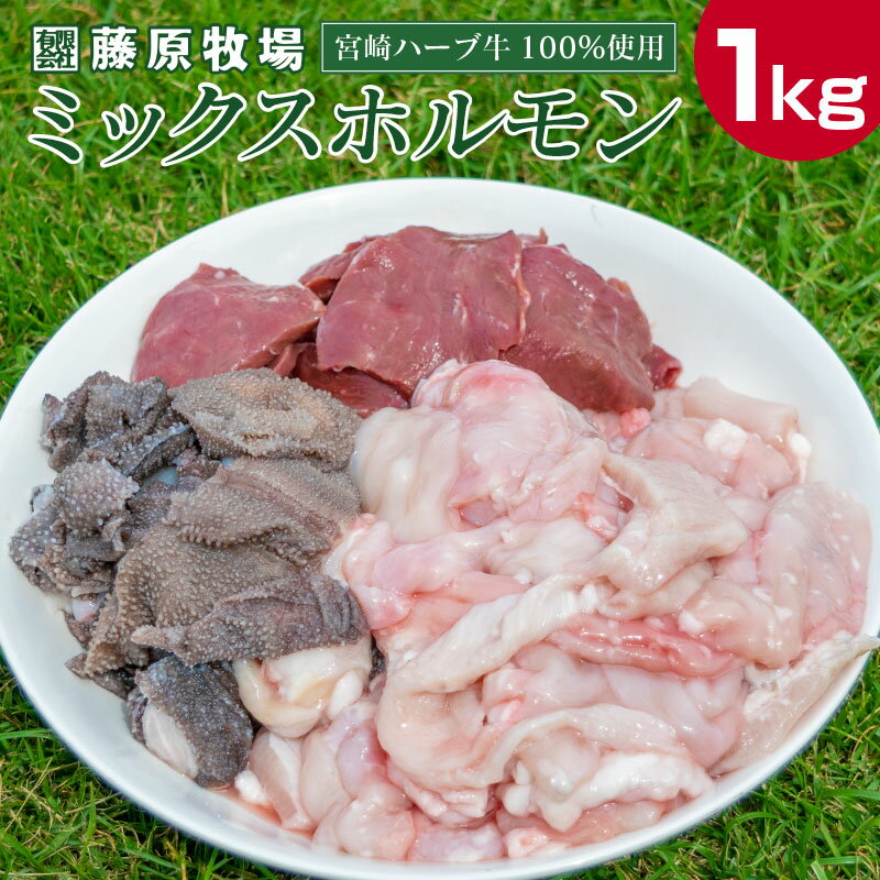 宮崎ハーブ牛 ミックスホルモン 計1kg(200g×5パック)小分けで便利 宮崎県産 小腸 ミノ ギアラ センマイ ハツ シマ腸 冷凍 牛肉 国産 送料無料