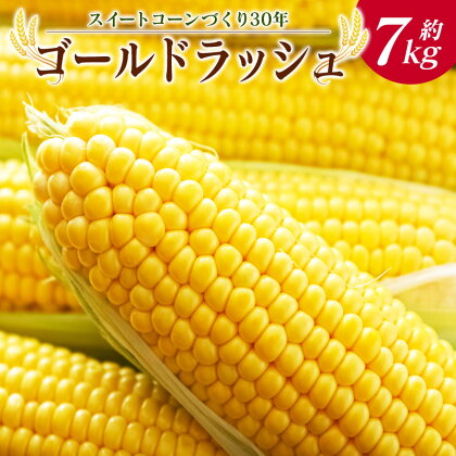 「スイートコーンづくり30年」 ゴールドラッシュ 20本入 約7kg 数量限定 宮崎県産 国産 冷蔵 とうもろこし 野菜 送料無料 ※2020年6月上旬から順次発送