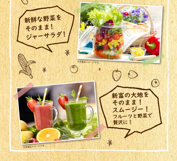 【ふるさと納税】 1年間毎月配送！【大人気】フルーツ・野菜セット 定期便