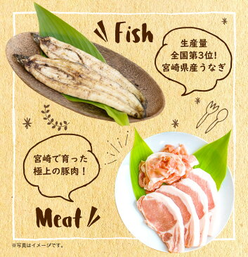 【ふるさと納税】1年間毎月配送！【大人気】フルーツ・肉・うなぎ・野菜セット（定期便）