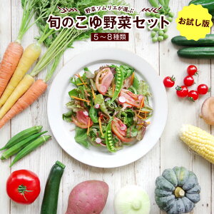 【ふるさと納税】野菜ソムリエが選ぶ 旬のこゆ野菜セット ※お試し版 5-8種類 送料無料 盛り合わせ 国産が大人気返礼品になっている理由とは ふるさと納税 人気 返礼品 ランキング