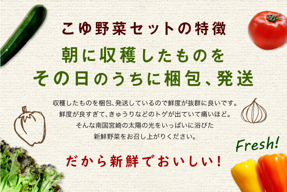 【ふるさと納税】野菜ソムリエが選ぶ 旬のこゆ野菜セット 12ヵ月コース 定期便 5〜8種類 送料無料 盛り合わせ 国産