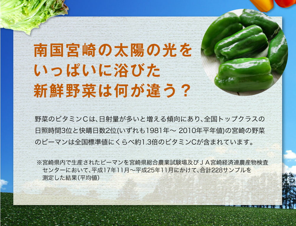 【ふるさと納税】野菜ソムリエが選ぶ 旬のこゆ野菜セット 12ヵ月コース 定期便 5〜8種類 送料無料 盛り合わせ 国産