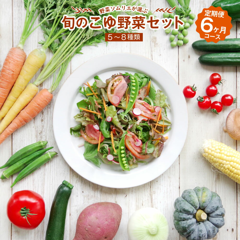 【ふるさと納税】野菜ソムリエが選ぶ 旬のこゆ野菜セット 6ヵ月コース 定期便 5〜8種類 送料無料 盛り合わせ 国産