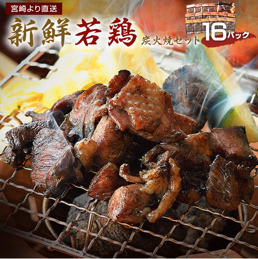 【ふるさと納税】鶏炭火焼きセット(16パック) 宮崎 地鶏 ...