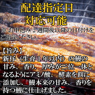 【ふるさと納税】新仔!!味鰻の本格手焼備長炭蒲焼3尾・味鰻の鰻丼の具6袋セット【宮崎県新富町産うなぎ】＜配達日指定・のし対応可能＞