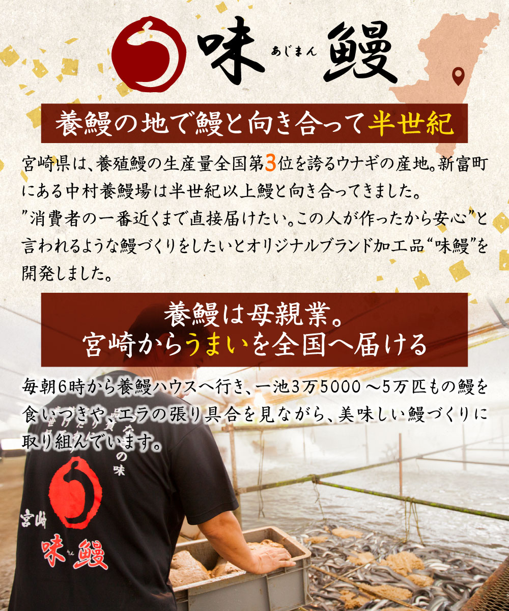 【ふるさと納税】味鰻 鰻丼の素 3袋 備長炭火焼 職人手焼き 合計1.5尾使用 宮崎県産うなぎ