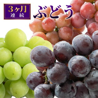ふるさと納税ぶどう ふるさと納税ぶどう