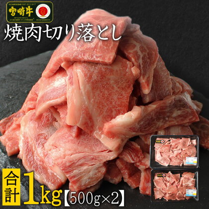 宮崎牛 焼肉切り落とし 合計1kg（500g×2P）ウデ 牛肉 切り落し 切落し BBQ 国産 普段使い 九州産 ※90日以内に発送