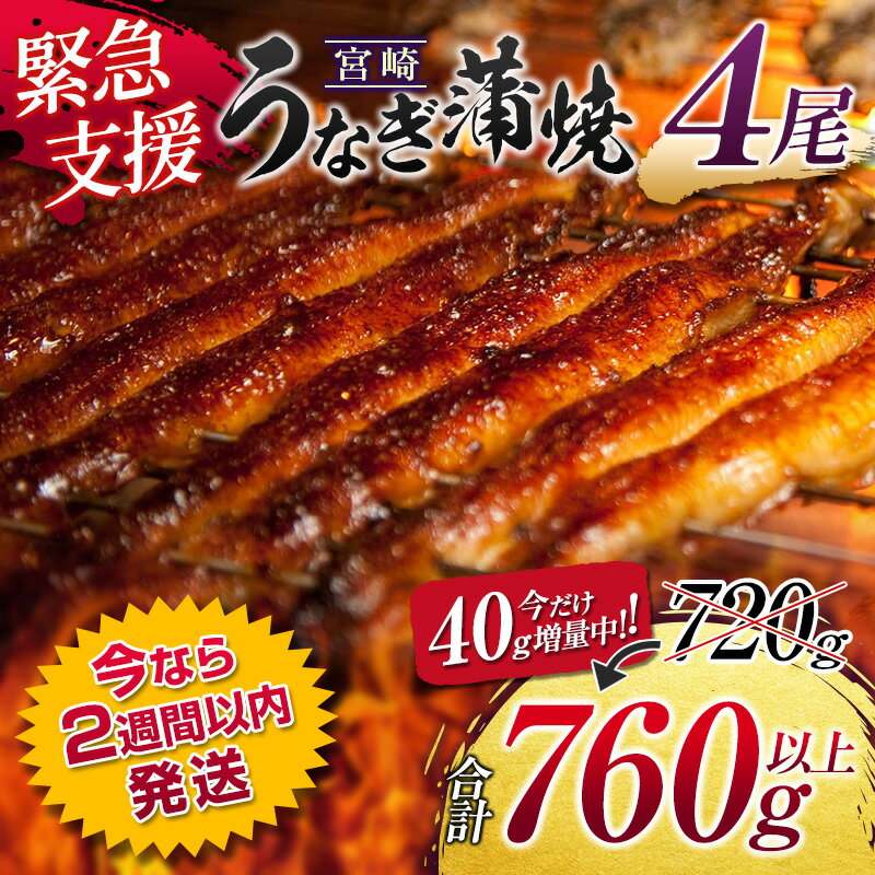 【ふるさと納税】今だけ40g増量!!国産うなぎ蒲焼(4尾) 合計760g以上 新富町産鰻 【数量限定】 ウナギ 支援 鰻楽