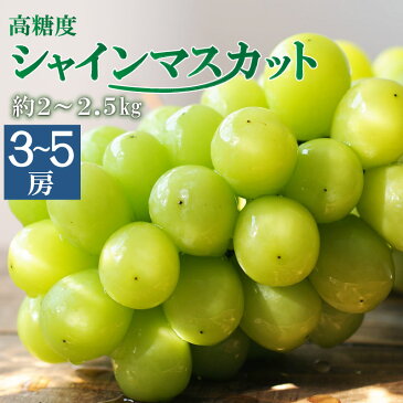 【ふるさと納税】＜早期予約受付＞高糖度 シャインマスカット　3〜5房 約2〜2.5kg程度 ぶどう 葡萄 マスカット 宮崎県産 フルーツ 果物 ギフト 贈り物 送料無料 ※2020年9月下旬から出荷