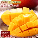 【ふるさと納税】最上級 完熟マンゴー 宮崎県産 太陽のタマゴ...