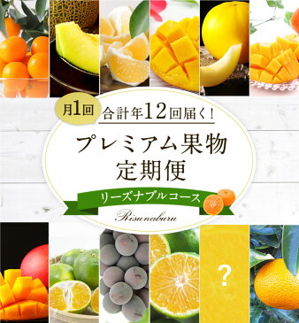 【ふるさと納税】＜予約受付＞プレミアム果物定期便 リーズナブルコース 合計12回 ※2020年1月より定期配送開始 フルーツ 定期 フルーツ みかん 完熟マンゴー メロン ぶどう 日向夏 スウィートスプリング