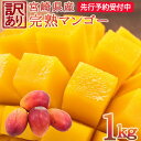 【ふるさと納税】先行予約 訳アリ 完熟マンゴー 家庭用 1k...