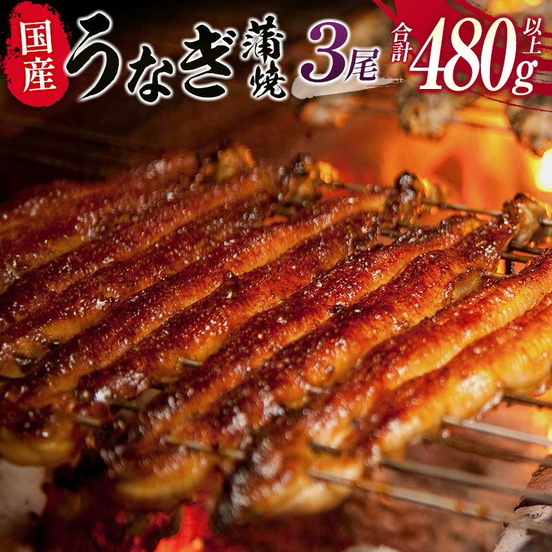 【ふるさと納税】国産 うなぎ 蒲焼 3尾（無頭）計480g以上 新富町産 鰻 ウナギ 支援 鰻楽 送料無料のサムネイル
